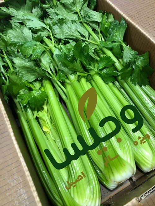 کرفس سرخ شده